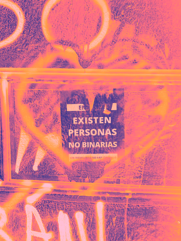 Poster that reads: "non-binary people exist in Chile. No visibility means no pride". The image has red, yellow and orange shades.